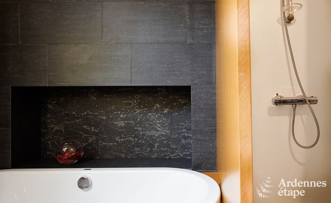 Schloss Plombi�res 9 Pers. Ardennen