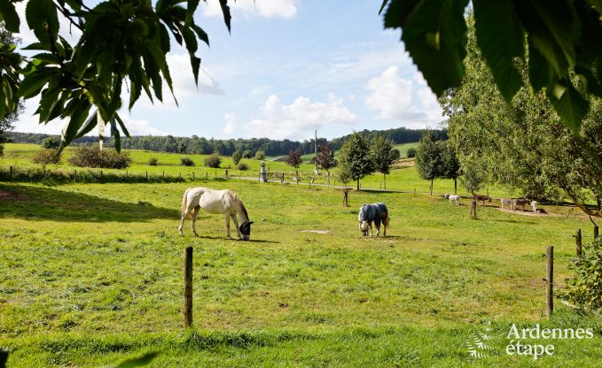 Urlaub auf dem Bauernhof Plombi�res 4 Pers. Ardennen