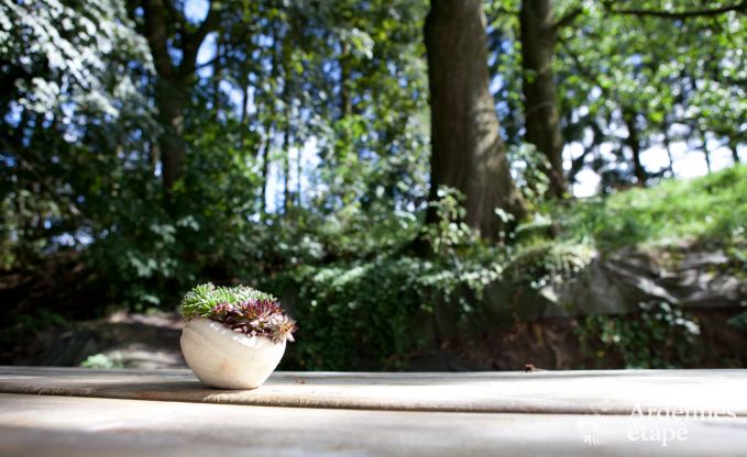 Urlaub auf dem Bauernhof Plombires 6 Pers. Ardennen