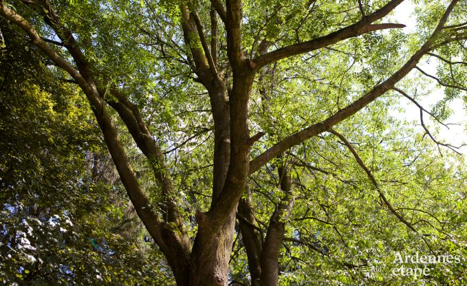 Urlaub auf dem Bauernhof Plombires 6 Pers. Ardennen