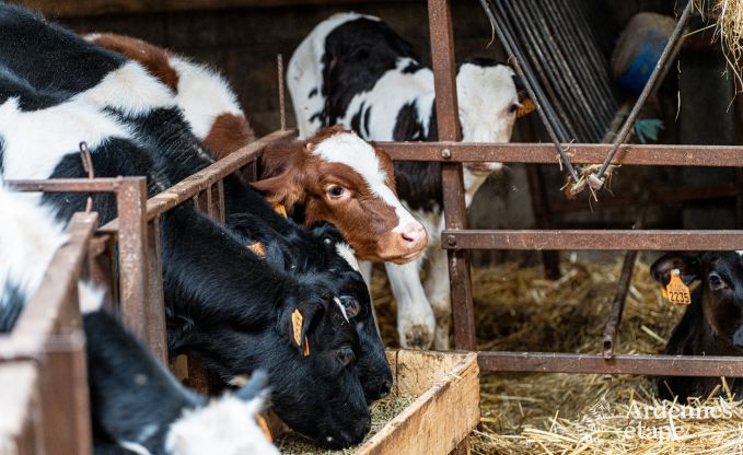 Urlaub auf dem Bauernhof Plombi�res 6 Pers. Ardennen