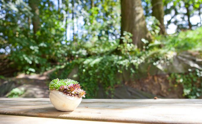 Urlaub auf dem Bauernhof Plombi�res 6 Pers. Ardennen