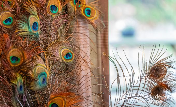 Urlaub auf dem Bauernhof Plombi�res 6 Pers. Ardennen