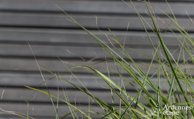 Ferienhaus Porcheresse (Daverdisse) 2 Pers. Ardennen