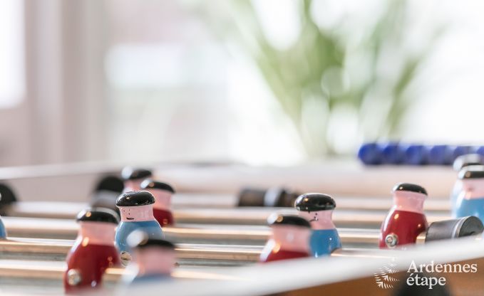 Ferienhaus Poupehan 26 Pers. Ardennen Wellness