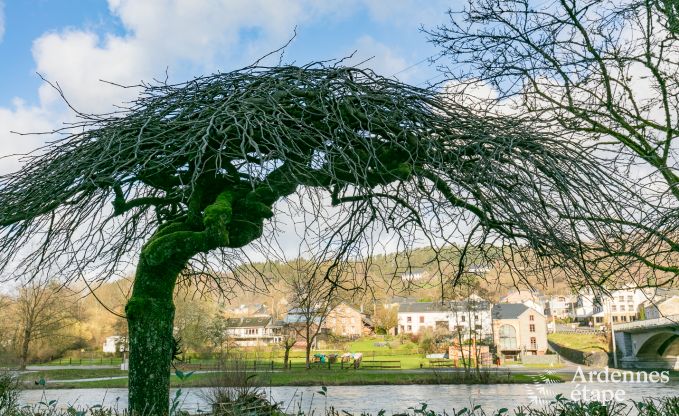 Ferienhaus Poupehan 26 Pers. Ardennen Wellness