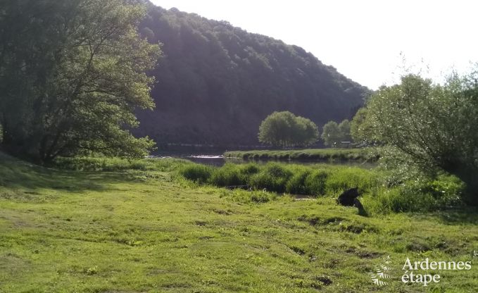 Ferienhaus Poupehan 26 Pers. Ardennen Wellness