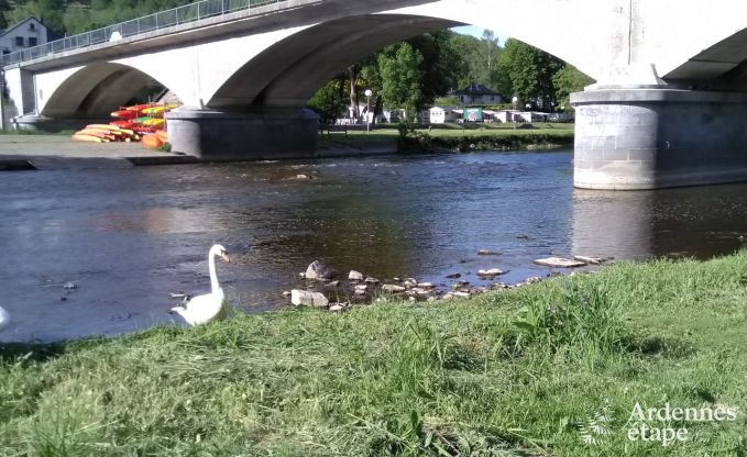 Ferienhaus Poupehan 26 Pers. Ardennen Wellness