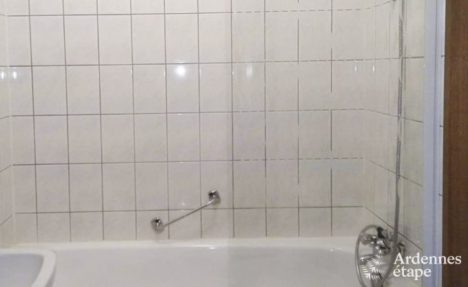 Ferienhaus Poupehan 26 Pers. Ardennen Wellness