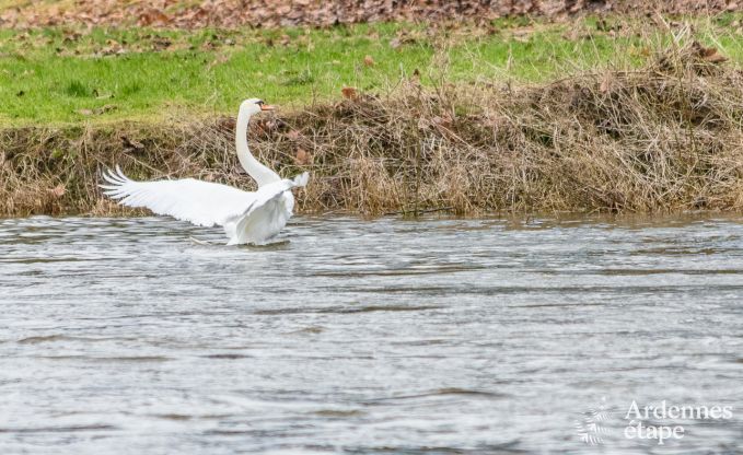 Ferienhaus Poupehan 26 Pers. Ardennen Wellness