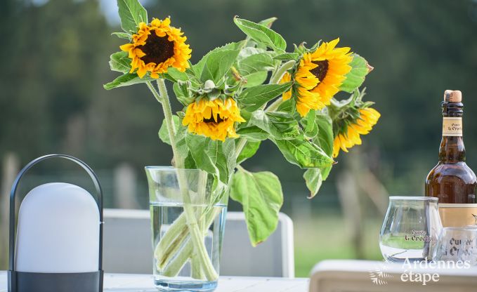 Gem�tliches Ferienhaus f�r Paare und Familien in Profondeville, Ardennen