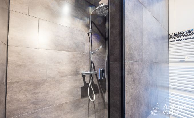 Luxusferienhaus mit Au�en-Wellness im Herzen des Maastals in Profondeville