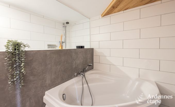 Luxusferienhaus mit Au�en-Wellness im Herzen des Maastals in Profondeville