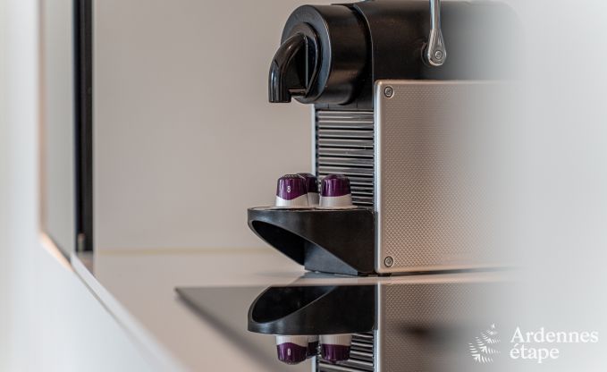 Au�ergew�hnlich charmant Ferienhaus in Profondeville f�r 4 Personen mit Jacuzzi, Infrarotkabine und Ponton auf der Maas