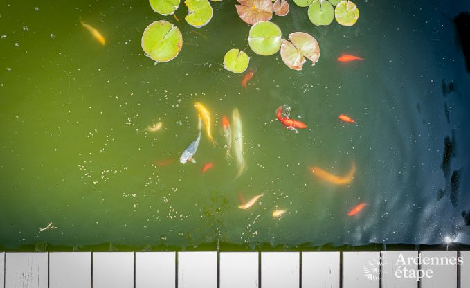 Ferienhaus Profondeville 8/9 Pers. Ardennen Schwimmbad