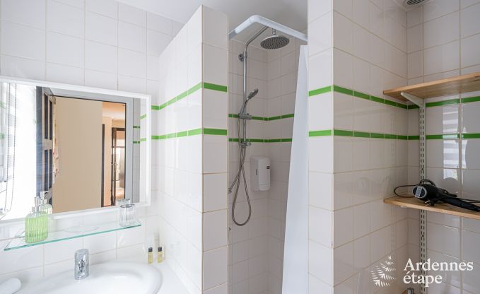 Ferienhaus f�r 6 mit Whirlpool, Sauna und Garten in Profondeville, Ardennen