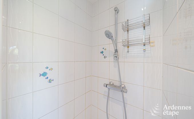 Ferienhaus Profondeville 8/9 Pers. Ardennen Schwimmbad