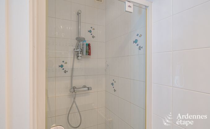 Ferienhaus Profondeville 8/9 Pers. Ardennen Schwimmbad