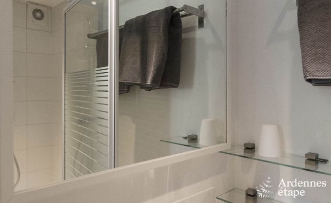 Ferienhaus in Redu, Ardennen, 7 Schlafzimmer, 6 Badezimmer, 15 Personen, nordisches Bad, Billard, privater Garten, Terrasse, Ladestation f�r Elektroautos