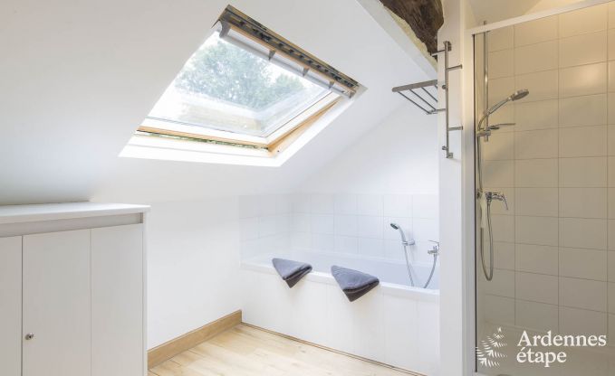 Ferienhaus in Redu, Ardennen, 7 Schlafzimmer, 6 Badezimmer, 15 Personen, nordisches Bad, Billard, privater Garten, Terrasse, Ladestation f�r Elektroautos