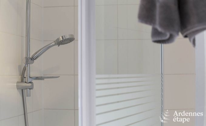 Ferienhaus in Redu, Ardennen, 7 Schlafzimmer, 6 Badezimmer, 15 Personen, nordisches Bad, Billard, privater Garten, Terrasse, Ladestation f�r Elektroautos