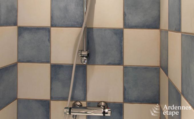 Ferienhaus Redu 11 Pers. Ardennen