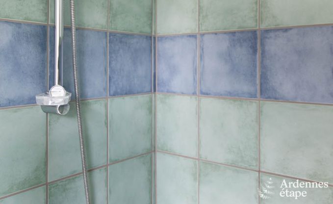 Ferienhaus Redu 11 Pers. Ardennen