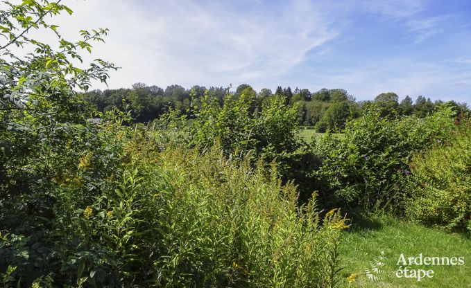 Ferienhaus Redu 15 Pers. Ardennen Wellness
