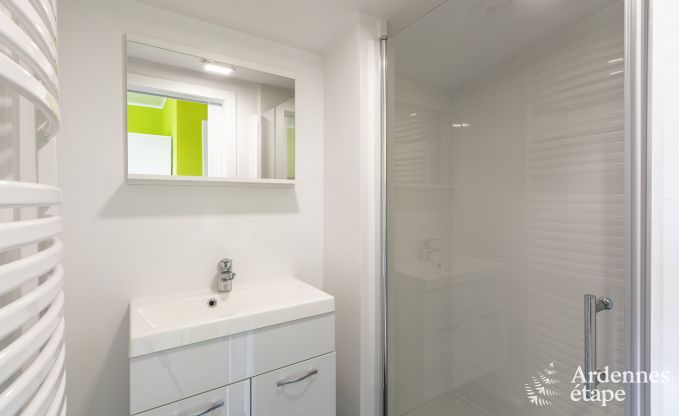 Ferienhaus Redu 15 Pers. Ardennen Wellness