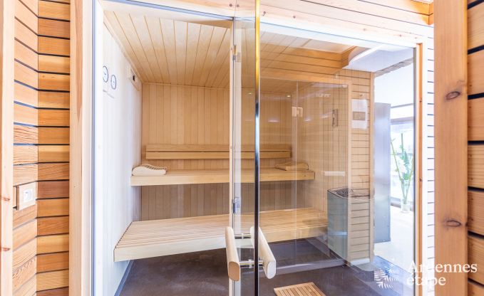 Luxusvilla in Redu, Ardennen, 9 Personen, Auenpool, Sauna, Dampfbad, Innen- und Auenwhirlpool, Privatgarten, vollstndige Ausstattung