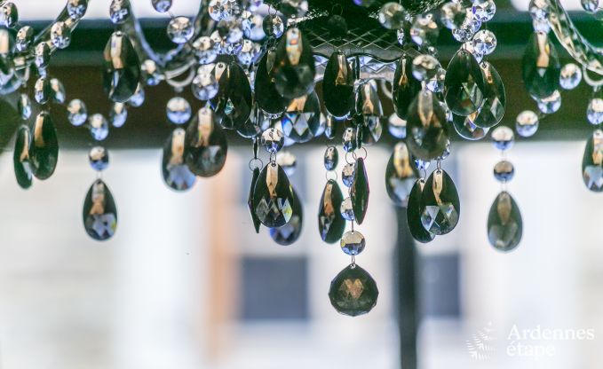 Luxusvilla in Redu, Ardennen, 9 Personen, Auenpool, Sauna, Dampfbad, Innen- und Auenwhirlpool, Privatgarten, vollstndige Ausstattung