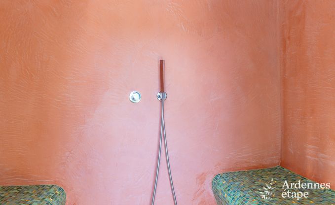 Luxusvilla in Redu, Ardennen, 9 Personen, Au�enpool, Sauna, Dampfbad, Innen- und Au�enwhirlpool, Privatgarten, vollst�ndige Ausstattung