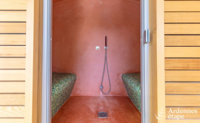 Luxusvilla in Redu, Ardennen, 9 Personen, Au�enpool, Sauna, Dampfbad, Innen- und Au�enwhirlpool, Privatgarten, vollst�ndige Ausstattung