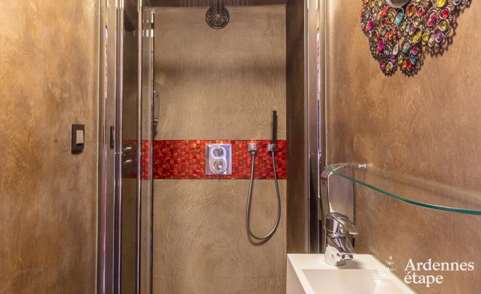 Luxusvilla in Redu, Ardennen, 9 Personen, Au�enpool, Sauna, Dampfbad, Innen- und Au�enwhirlpool, Privatgarten, vollst�ndige Ausstattung