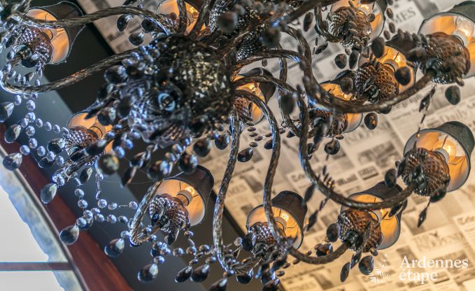 Luxusvilla in Redu, Ardennen, 9 Personen, Au�enpool, Sauna, Dampfbad, Innen- und Au�enwhirlpool, Privatgarten, vollst�ndige Ausstattung