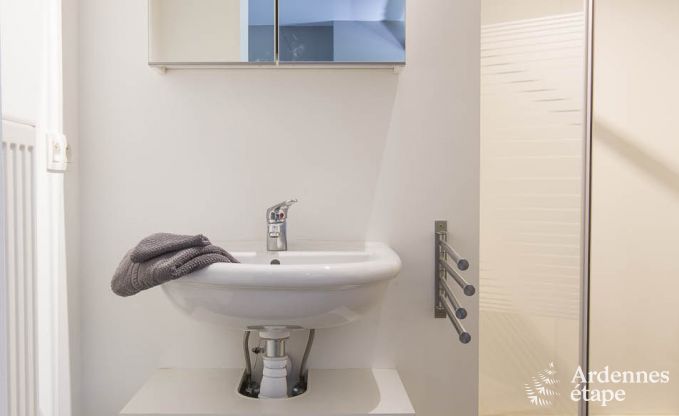 Ferienhaus in Redu, Ardennen, 7 Schlafzimmer, 6 Badezimmer, 15 Personen, nordisches Bad, Billard, privater Garten, Terrasse, Ladestation f�r Elektroautos