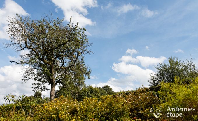 Ferienhaus Redu 15 Pers. Ardennen