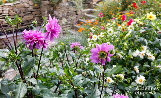 Ferienhaus Redu 12 Pers. Ardennen