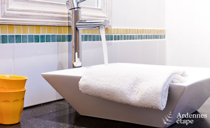 Ferienhaus Redu 12 Pers. Ardennen