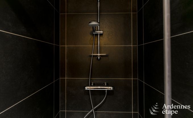 Ferienhaus Redu 14 Pers. Ardennen