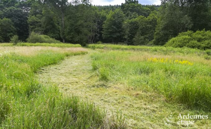 Ferienhaus Redu 38 Pers. Ardennen