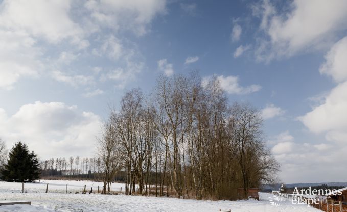 Ferienhaus Redu 9 Pers. Ardennen Wellness