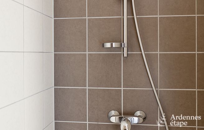 Ferienhaus Redu 17 Pers. Ardennen Wellness