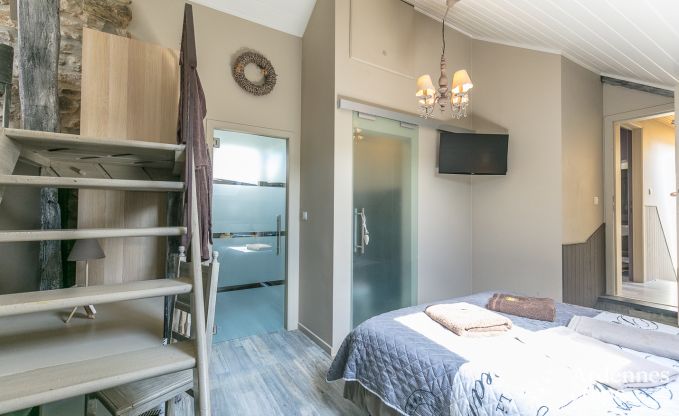 Luxusvilla in Redu, Ardennen, 9 Personen, Auenpool, Sauna, Dampfbad, Innen- und Auenwhirlpool, Privatgarten, vollstndige Ausstattung