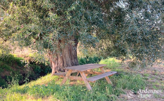 Cottage Remicourt 5 Pers. Ardennen Wellness