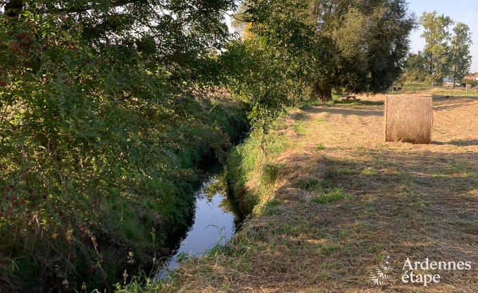 Cottage Remicourt 5 Pers. Ardennen Wellness