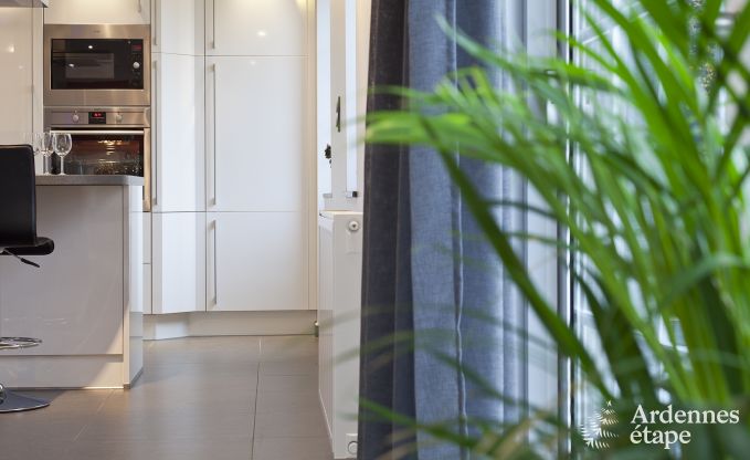 Luxusvilla Remouchamps 10/12 Pers. Ardennen Wellness