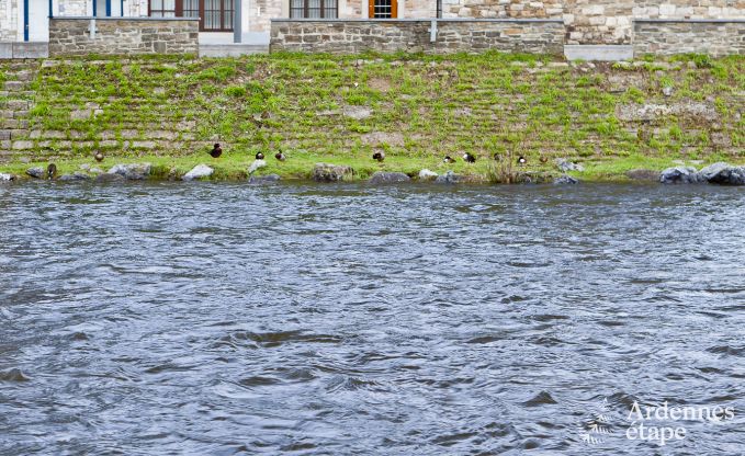 Luxusvilla Remouchamps 10/12 Pers. Ardennen Wellness