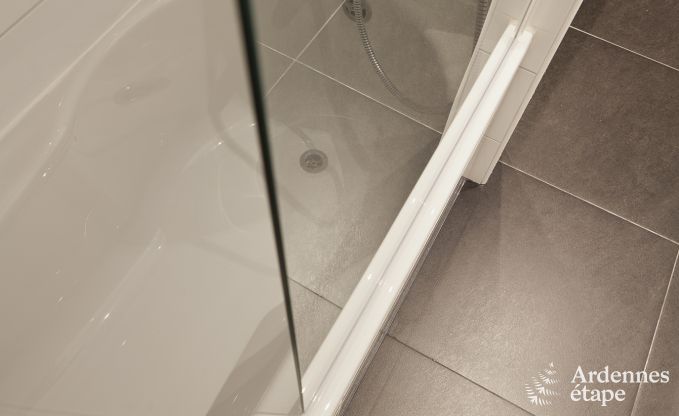 Luxusvilla Remouchamps 10/12 Pers. Ardennen Wellness