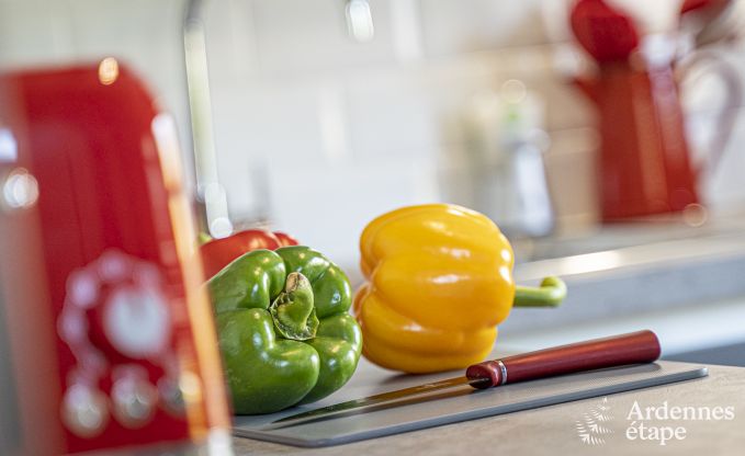 Cottage Remouchamps 2 Pers. Ardennen